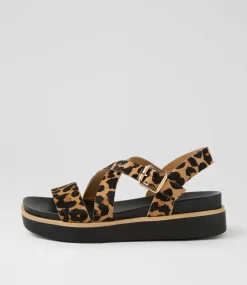 Women DIANA FERRARI Flats|Sandals-Blaklee Leopard Black Leather Sandals