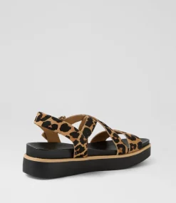 Women DIANA FERRARI Flats|Sandals-Blaklee Leopard Black Leather Sandals