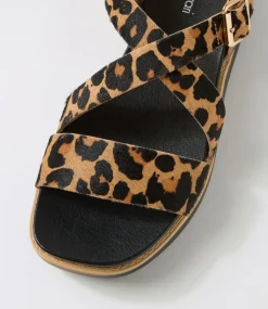 Women DIANA FERRARI Flats|Sandals-Blaklee Leopard Black Leather Sandals