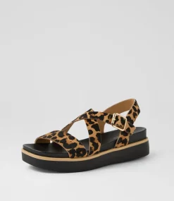 Women DIANA FERRARI Flats|Sandals-Blaklee Leopard Black Leather Sandals