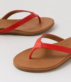 Women DIANA FERRARI Slides|Flats-Bondis Red Leather Slides