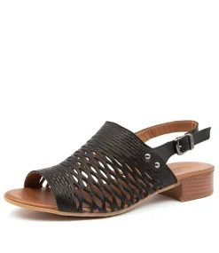 Women DIANA FERRARI Heels|Flats-CAPRIS DF BLACK LEATHER