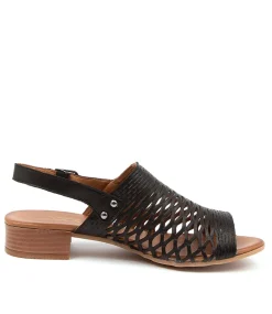 Women DIANA FERRARI Heels|Flats-CAPRIS DF BLACK LEATHER