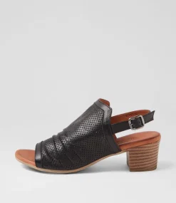 Women DIANA FERRARI Heels|Sandals-Eches Black Leather Sandals