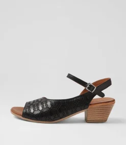 Women DIANA FERRARI Sandals|Heels-Gorgeena Black Leather Sandals