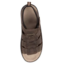 COLORADO Casuals|Sandals-HOOK BROWN LEATHER