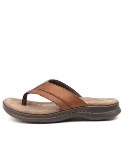 COLORADO Casuals|Sandals-INCARA BROWN