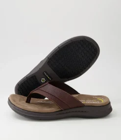 COLORADO Sandals|Casuals-Incara Chocolate Tumble Leather Thongs