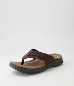 COLORADO Sandals|Casuals-Incara Chocolate Tumble Leather Thongs