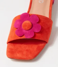 Women TOP END Flats|Slides-Kossi Orange Fuchsia Suede Slides