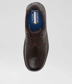 COLORADO Senior School Shoes-Roar Senior E Brown Leather Lace Up Shoes