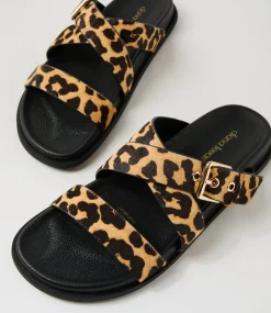 Women DIANA FERRARI Flats|Sandals-Vileen Leopard Black Leather Sandals