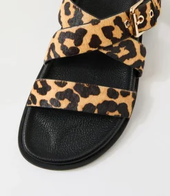 Women DIANA FERRARI Flats|Sandals-Vileen Leopard Black Leather Sandals